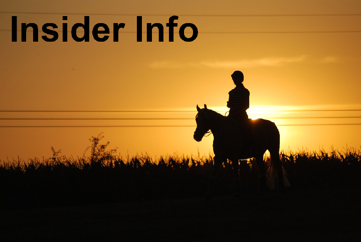 Horse Racing Systems | Insider Info Service